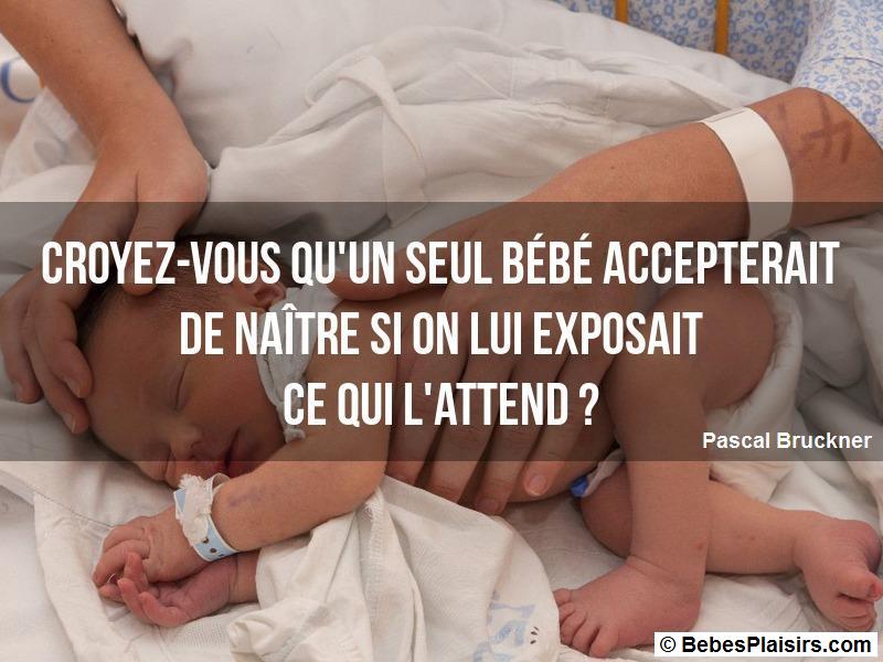 Un Nouvelle Citation De Bebe Maman Ou Papa Chaque Jour