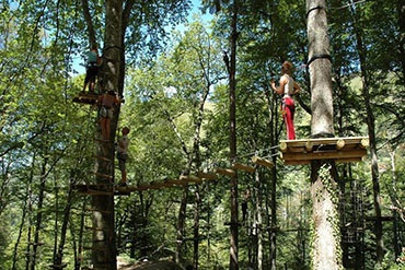 la forêt suspendue