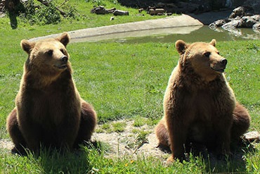 le parc animalier